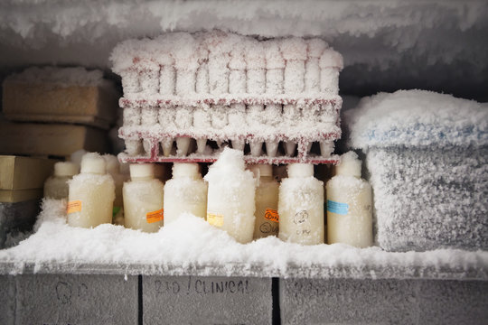 Test tubes in fridge