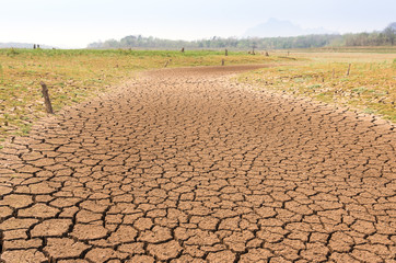 Global warming, Drought.