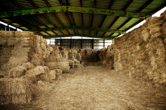 Hay Bales In Barn