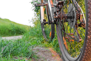 bicycle rear view on a background of grass and road
