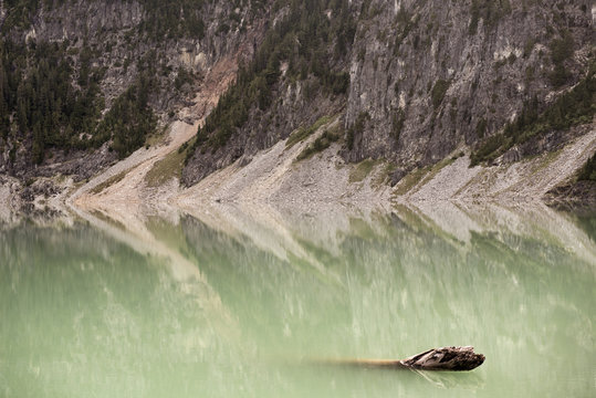 Driftwood protruding from lake