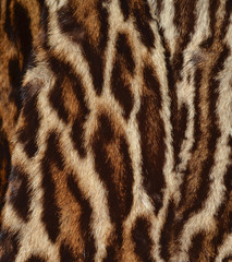 leopard fur