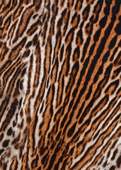 leopard fur
