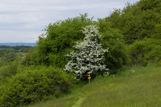 Wanderweg