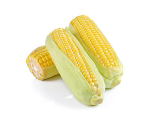Corn on white background