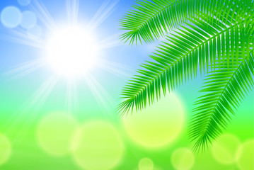 Fototapeta na wymiar Sunny background with palm leaves