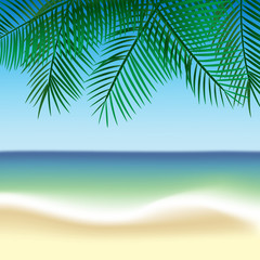 Fototapeta na wymiar Palm leaves and beach