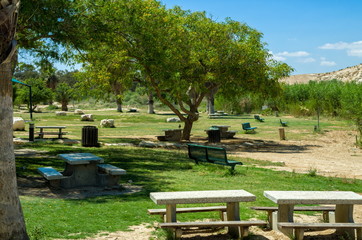 A little green park in the middle of desert with tables and benches