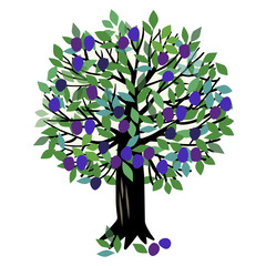 Illustration Plum tree