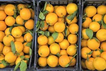 свежие апельсины в деревянных ящиках на рынке   