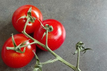 Strauchtomaten
Drei reife Strauchtomaten sind noch an einem Blütenstand.
