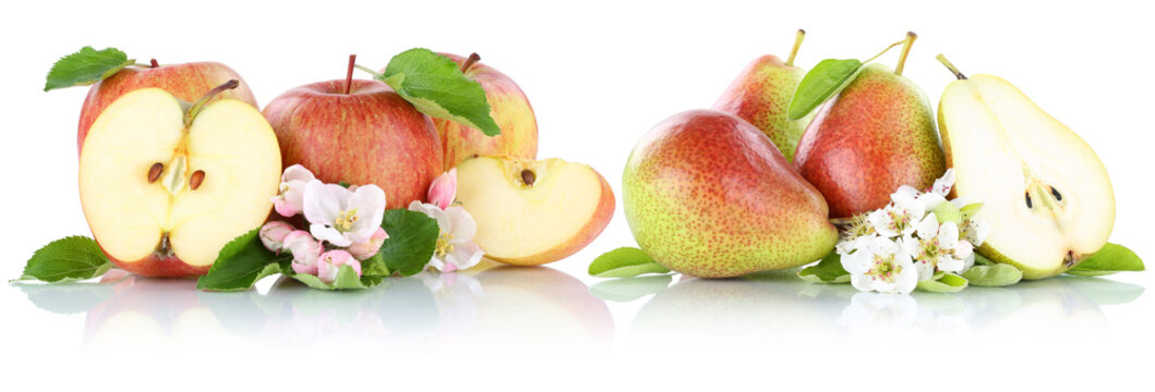 Apfel und Birne &Auml;pfel Birnen Frucht rote Fr&uuml;chte Obst geschnit