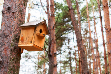 Wooden birdhouse on a pine tree.