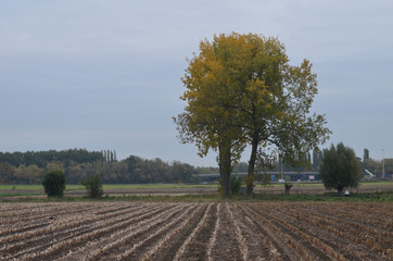 Small path in countryside landscape