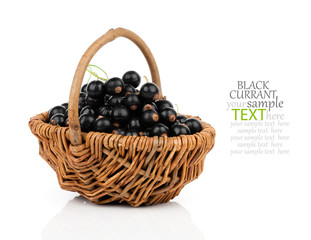 Fototapeta na wymiar basket with black currant berries over white