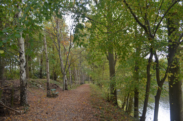 walking trail next to lake through autumn forest