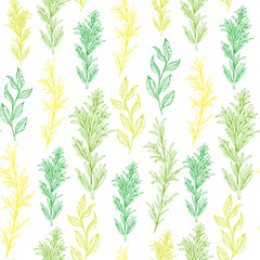 Seamless vector pattern with herbs