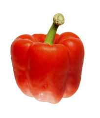 sweet red pepper isolated on white background