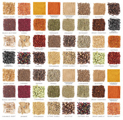 Set of different spices isolated on white background