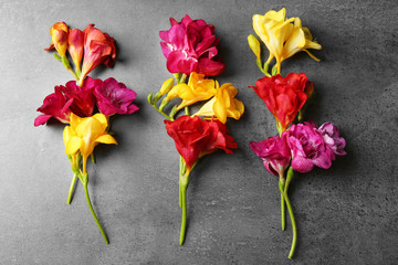 Beautiful freesia flowers on grey textured background