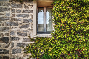 Fototapeta na wymiar plants by a rustic window in a brick wall