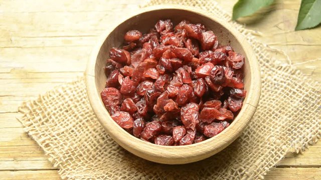 Vaccinium macrocarpon Ar&aacute;ndano rojo grande Gro&szlig;fr&uuml;chtige Moosbeere Large cranberry Amerikankarpalo American cranberry Mirtillo rosso Bearberry Canneberge &agrave; gros fruits Żurawina wielkoowocowa قره&zwnj;قات