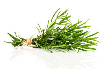 tied fresh rosemary on a white background