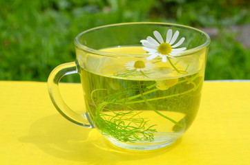 Чай с ромашкой 