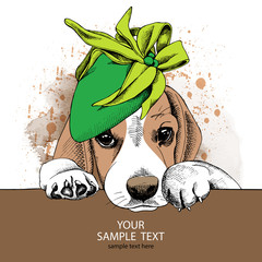 The Image portrait of the dog Beagle in the Summer sun hat. Vector illustration.