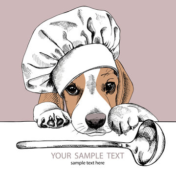 The poster with the image of dog Beagle in the hat of chef and with the ladle. Vector illustration.
