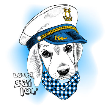 Dog with sailor hat cheap