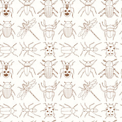 Seamless pattern with doodle sketch Bugs and beetles