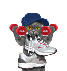 Cat with dumbbells playing sports -- running and jogging