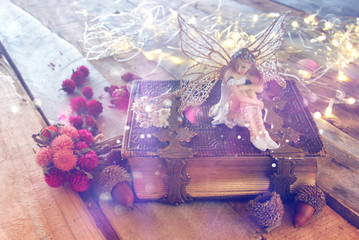 dreamy magical little fairy in the forest next to old book © tomertu