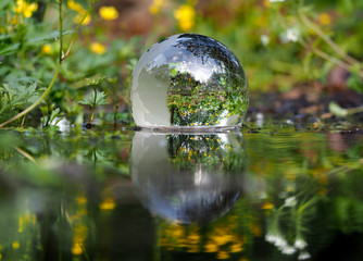 Obraz na płótnie Canvas The ball in the water. Green water, forest flowers. Glass - a material, concepts and themes, environment, nature, renewable resources 