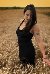 Women relaxing in a wheat field at summer sunset