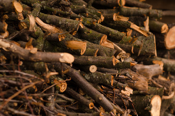 Pile of firewood. Preparation for the winter. Background