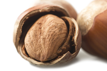 shelled hazelnuts close up on the white