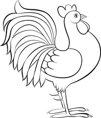drawing of rooster or cock vector sketch