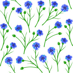 Seamless pattern with blue cornflowers. Vector Illustration