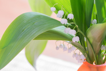 Bouquet of lily of the Valley
