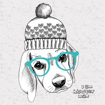 Image portrait of a dog (Beagle) in a hat and glasses. Vector Image.