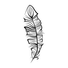 Vintage feather isolated on white background. Hand drawn vector illustration. Template for your design
