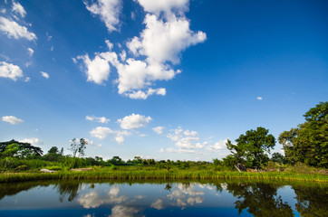 Naklejka na ściany i meble background of gradient blue sky with white cloud and green field, trees and grass field. reflect on water swamp in foreground
