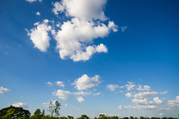 Obraz premium background of gradient blue sky with white cloud and green field, trees and grass field.