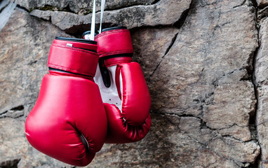 boxing gloves are suspended on a rock