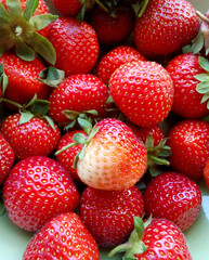 strawberry, berry, sweet , summer, color , vitamins , ripe , soft, sun , earth, juicy, fun, red , sweet ,