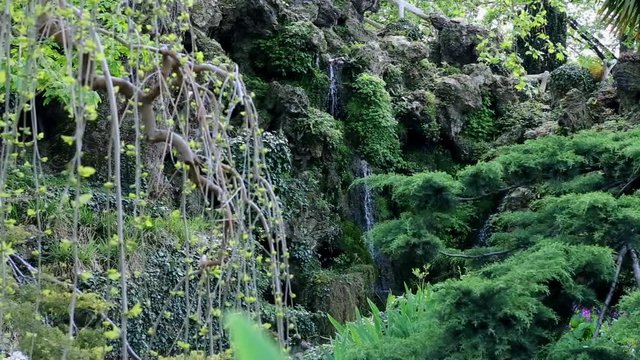 Flora and a little waterfall in Monceau parc in Paris