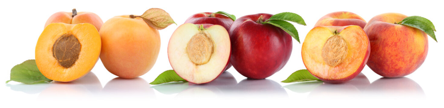 Pfirsich Nektarine Aprikose Pfirsiche Nektarinen Frucht Fr&uuml;chte