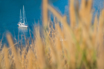 Fototapeta premium Sailboat